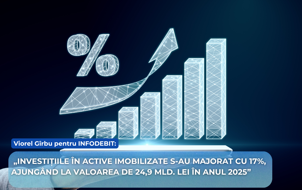 Expertul economic Viorel Gîrbu pentru INFODEBIT: Investițiile în active intangibile cresc rapid în anul curent