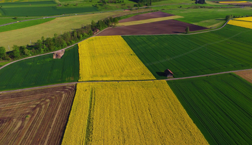 Expertul economic Viorel Gîrbu pentru INFODEBIT: Sectorul agroalimentar al Republicii Moldova: de la avantaj competitiv la sursă de presiuni asupra prețurilor