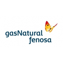 GAS NATURAL FENOSA FURNIZARE ENERGIE